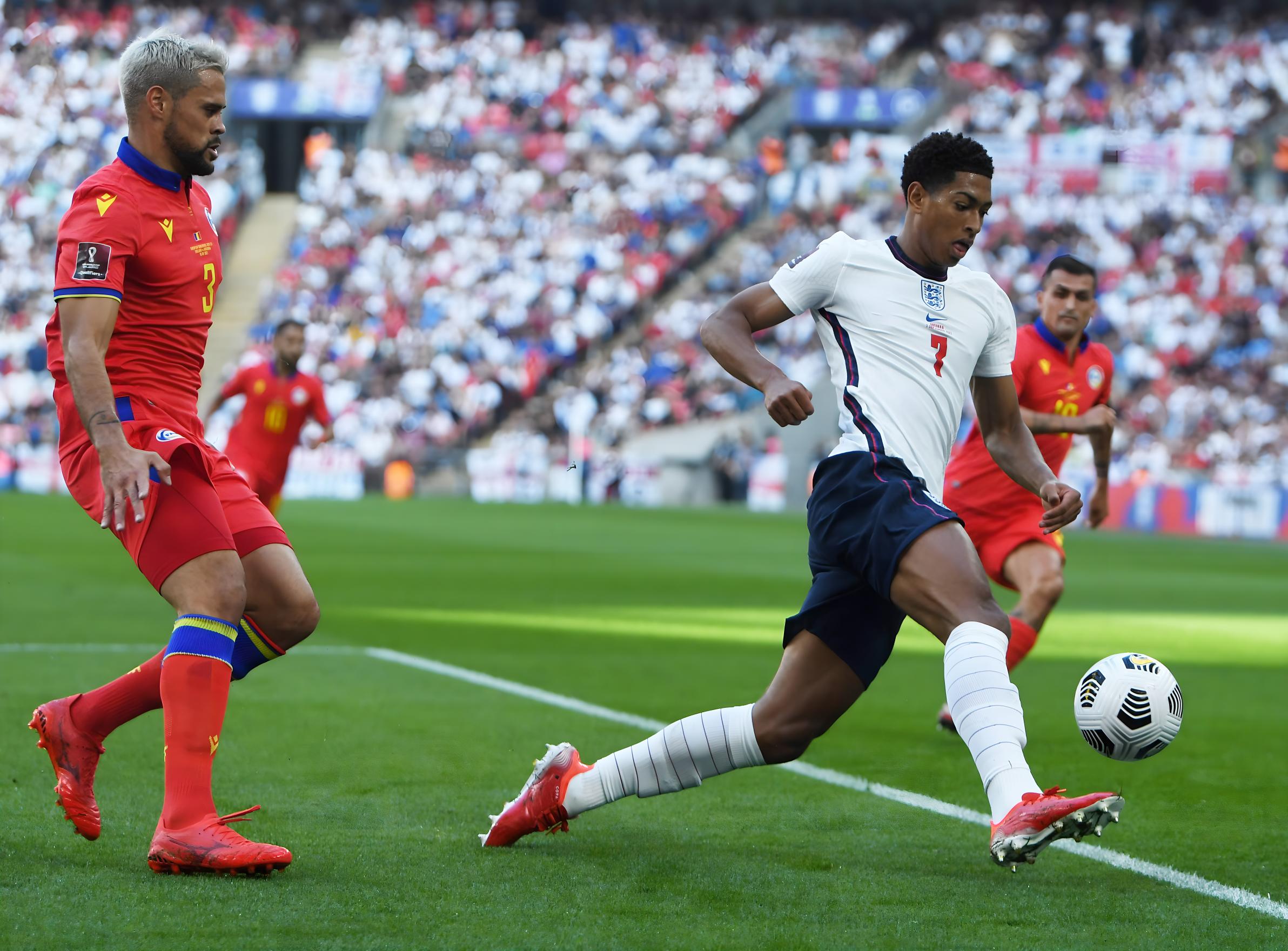 参赛选手 参赛选手