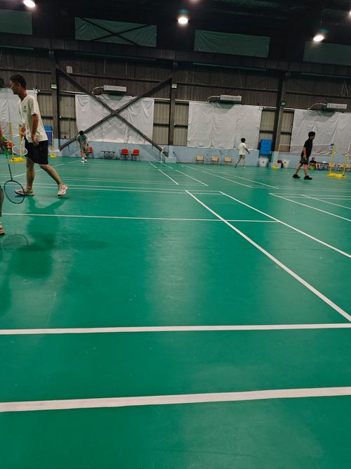 火箭队最终 火箭队最终