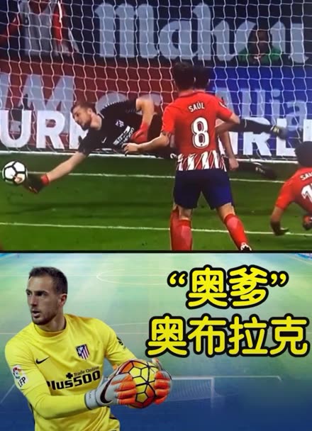 优化和生态 优化和生态